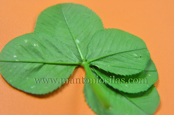 Lucky Charm