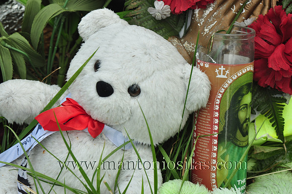 Roses for the Dead