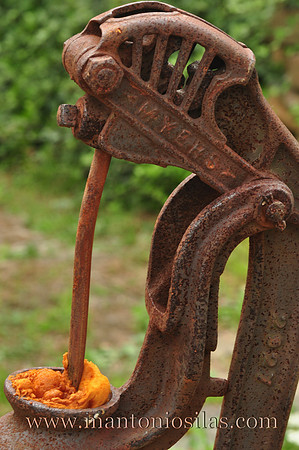 The Well